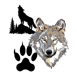 The Epic Tail of Dog Evolution: From Wild Wolves to Couch Potatoes